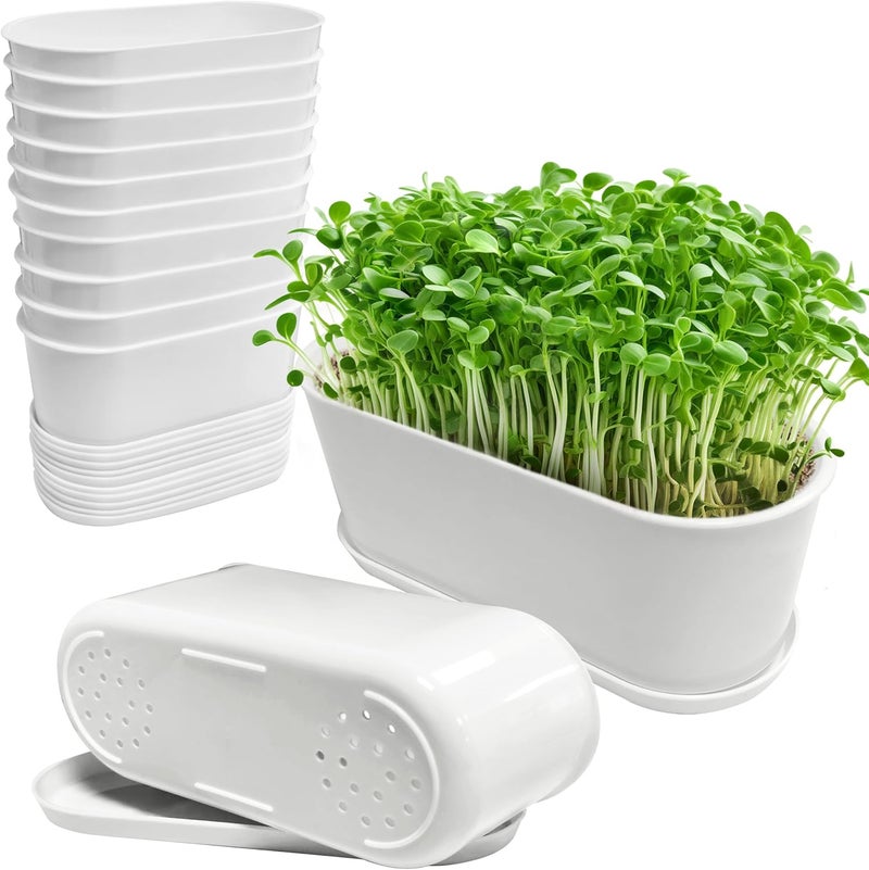 Torfican Window Box Planter with Saucers,10 Sets Rectangular Planter with Multiple Drainage Holes and Trays Plant Pots, for Succulent Cactus Flowers Vegetable - Image 1